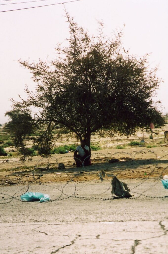 Les lanceurs de pierres (Palestine, Israël - 2005, 2006, 2009)