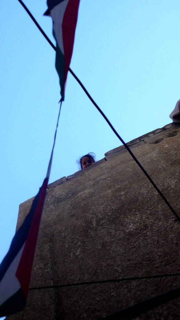 Les lanceurs de pierres (Palestine, Israël - 2005, 2006, 2009)