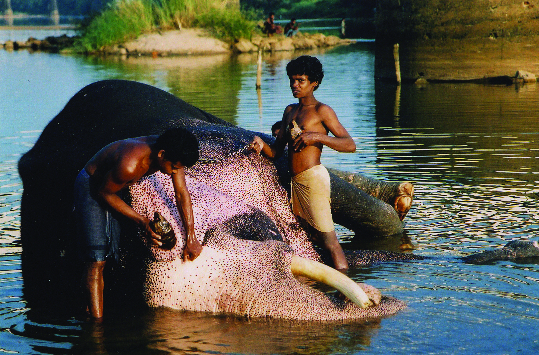 Inde, 199-2000 © Philippe Ducros