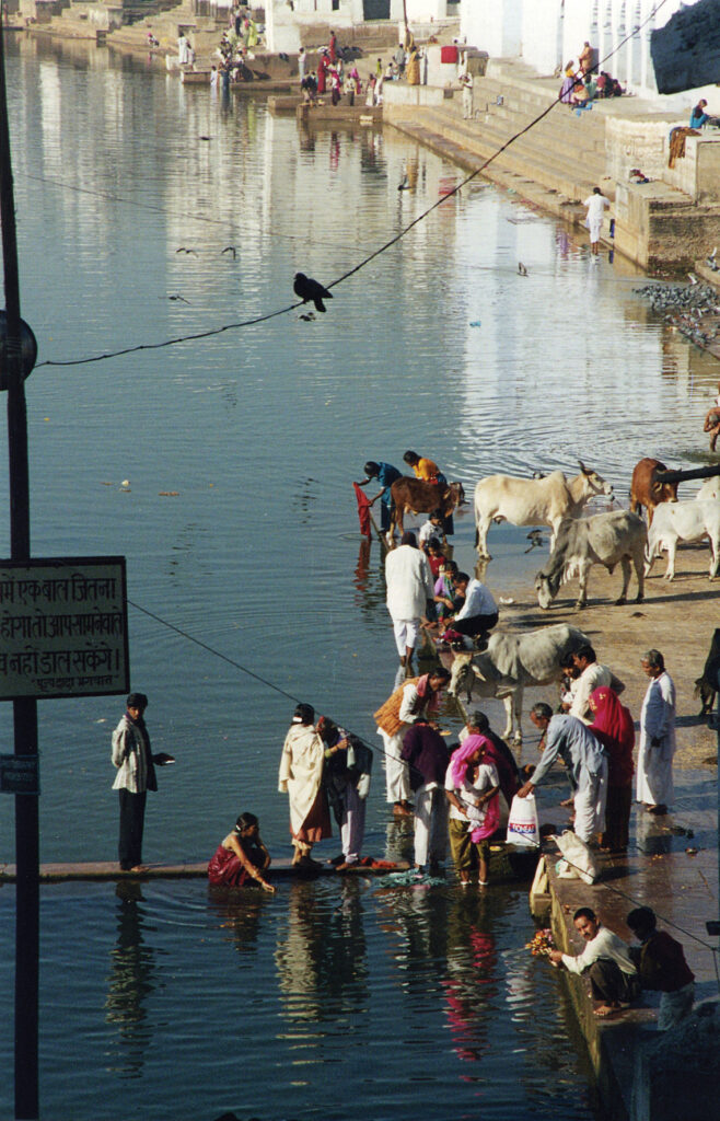 I_pushkar4_small